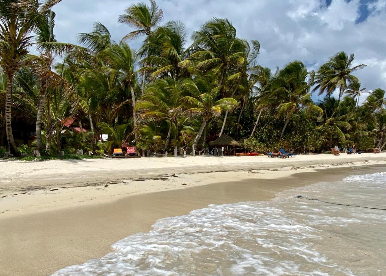 Little Corn Island Beach And Bungalow Exteriér fotografie
